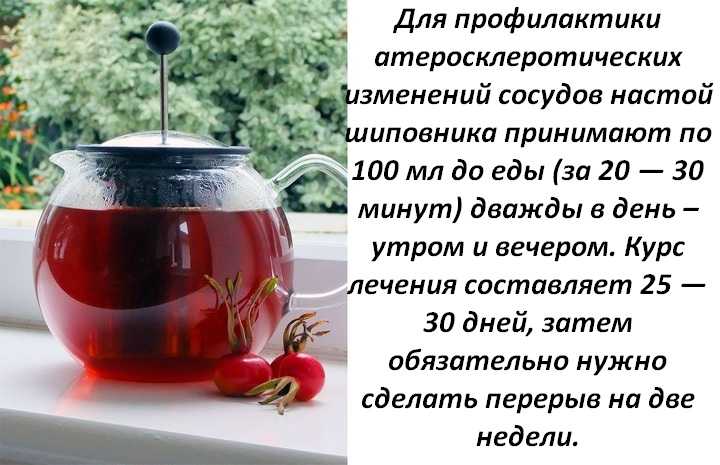 Как правильно заваривать шиповник — пошаговая инструкция