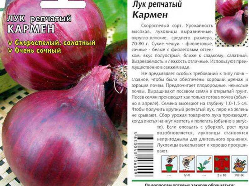 Лук россана: описание сорта, отзывы опытных огородников об урожайности, фото севка, лежкость и особенности ухода
