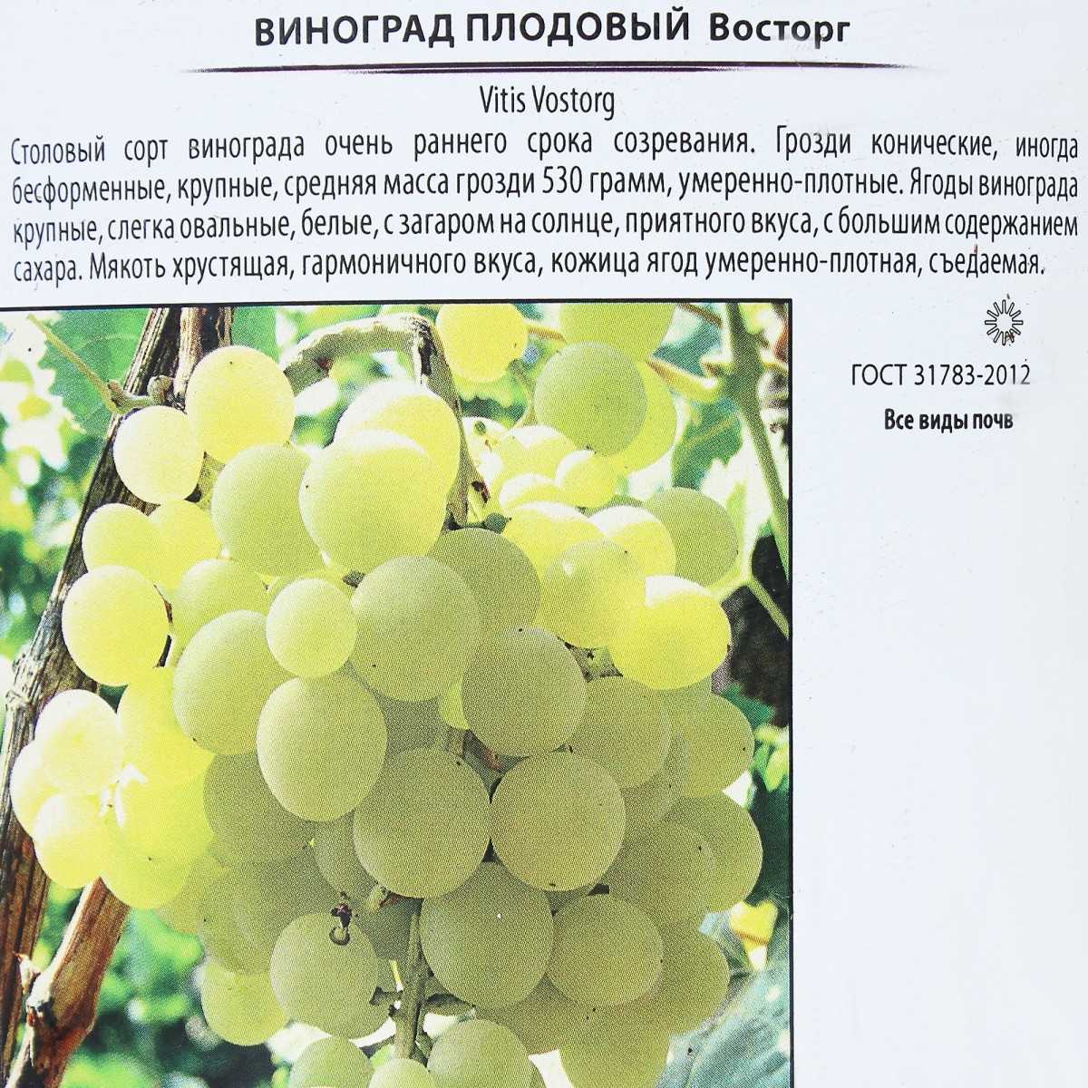 Виноград - описание 27 сортов с фото и характеристиками