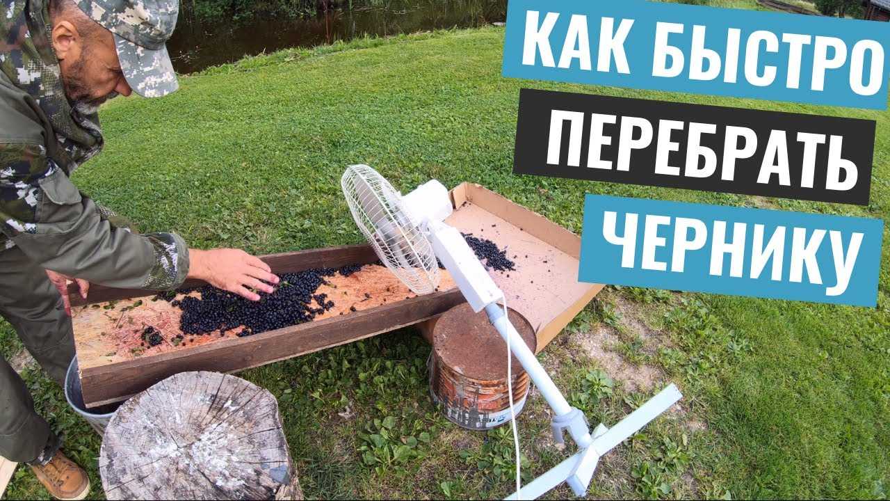 Виды комбайнов для сбора черники, пошаговая инструкция изготовления своими руками