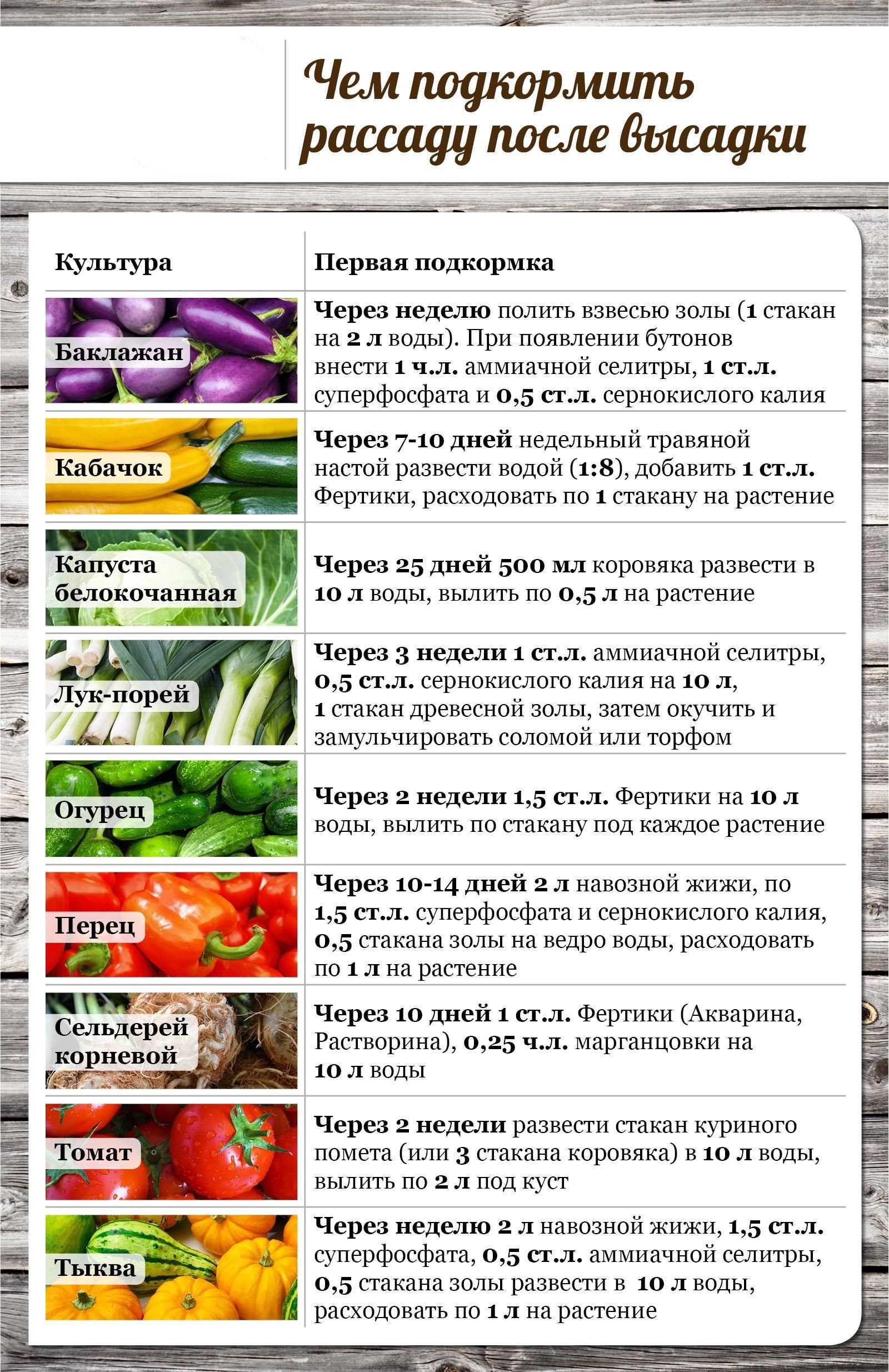Описание 11 лучших сортов абрикоса для выращивания в сибири, тонкости посадки и ухода
