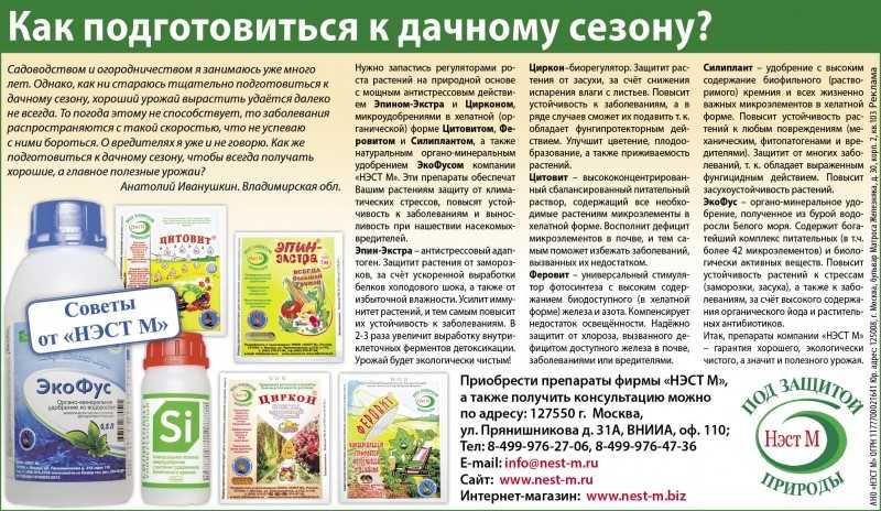Удобрения для цитрусовых, растущих в домашних условиях