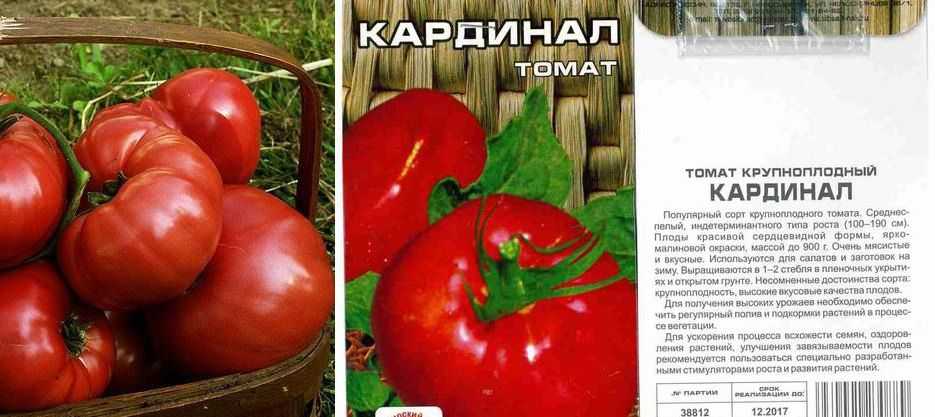 Томат «кардинал» - отзывы, фото, описание и характеристики сорта