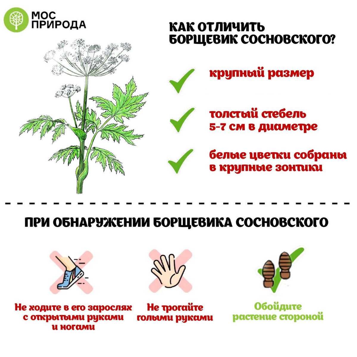 Частый понос у взрослых: причины и лечение | имодиум®