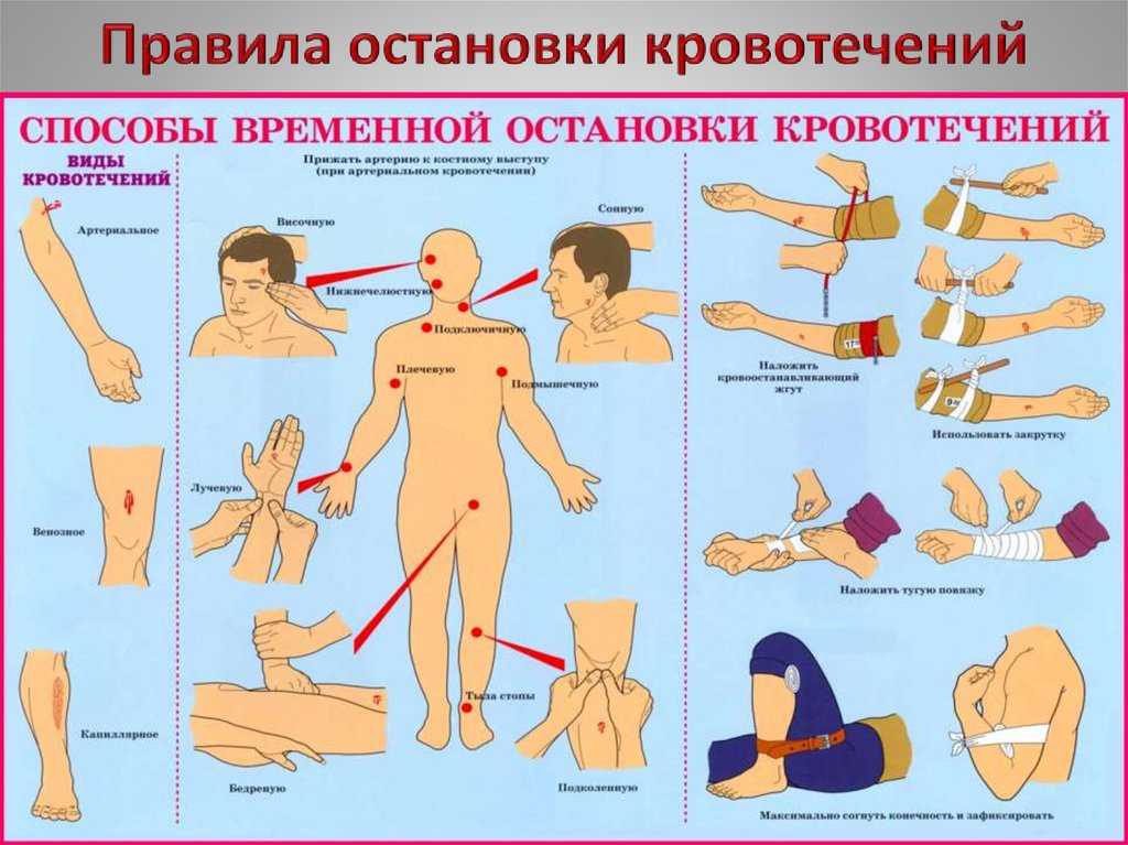 Огневка от паразитов: очищает от глистов, бактерий, вирусов и грибков!