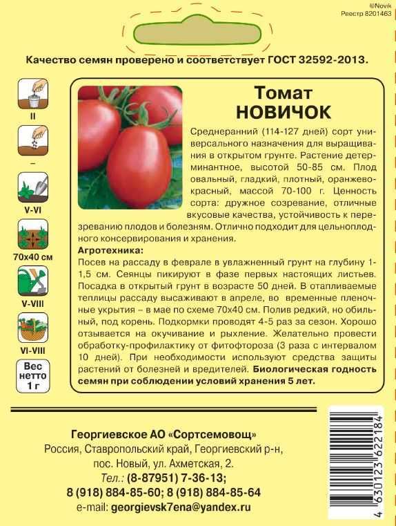 Томат новичок: описание и характеристика сорта, особенности посадки и выращивания помидоров, отзывы тех, кто сажал, фото