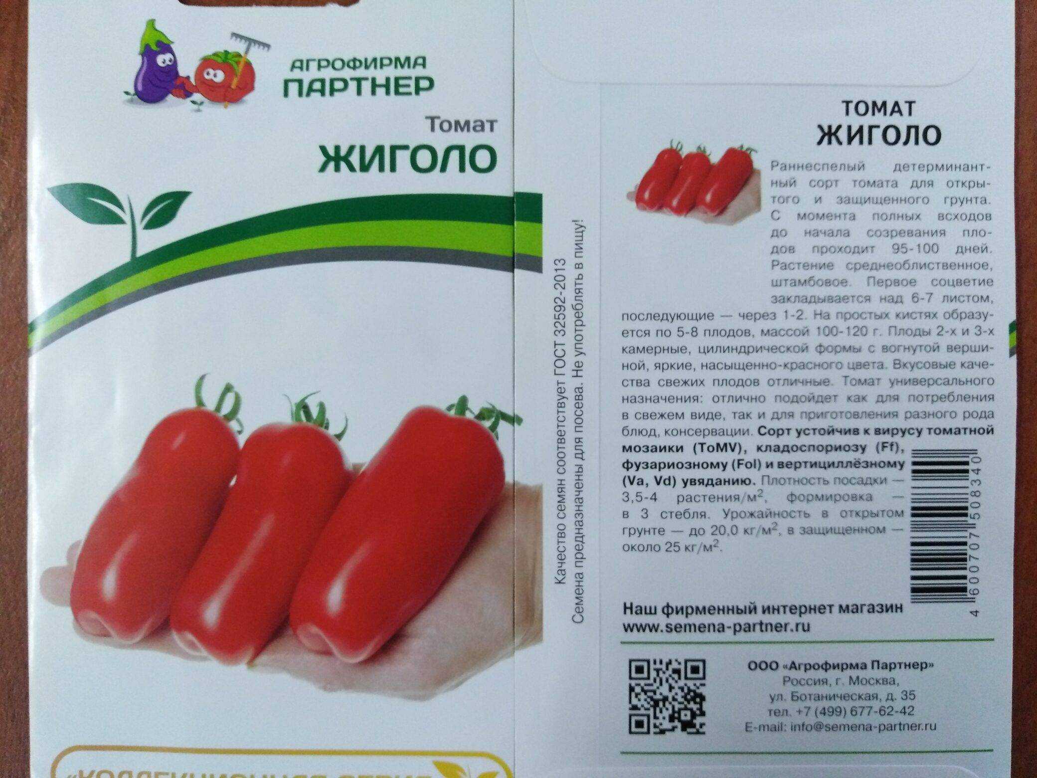Помидор жигало - описание сорта с фото, характеристика, урожайность отзывы кто сажал