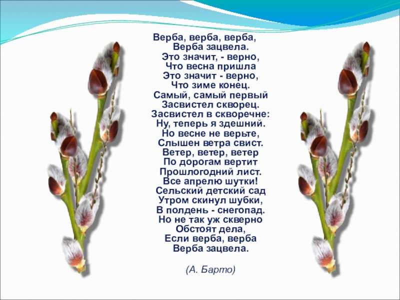 На какой год плодоносит лещина обыкновенная. почему орешник не плодоносит