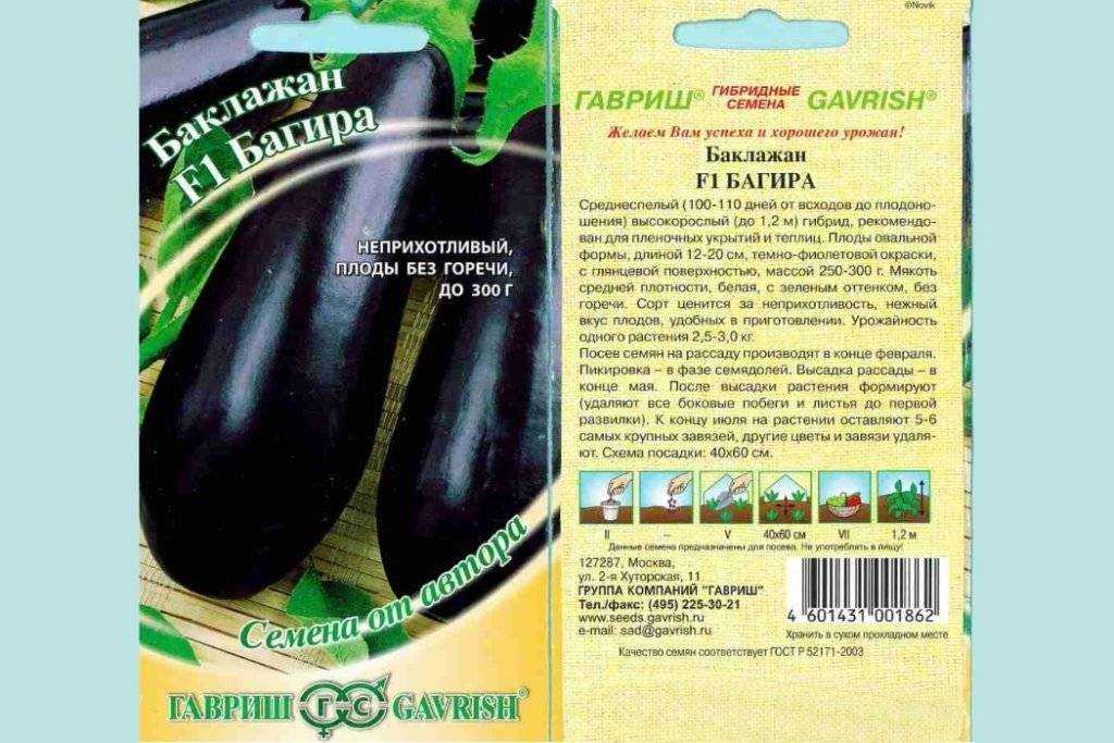 Сорта баклажанов для открытого грунта. лучшие сорта с описанием для средней полосы россии