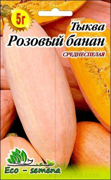 Стоит ли выращивать тыкву розовый банан? описание сорта