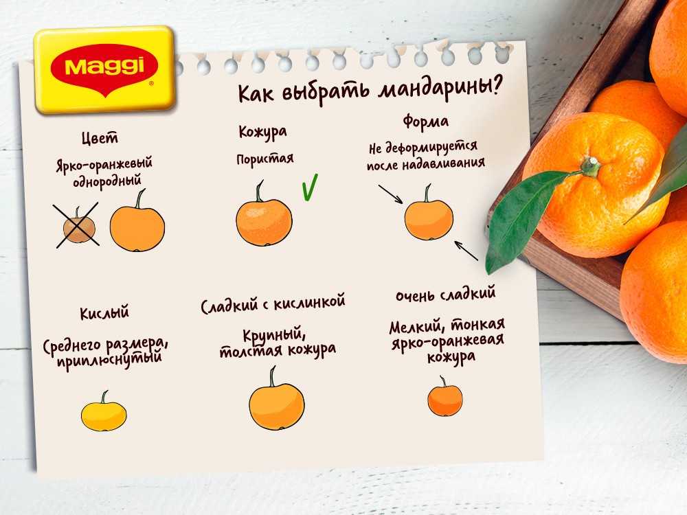 Откуда привозят мандарины в россию