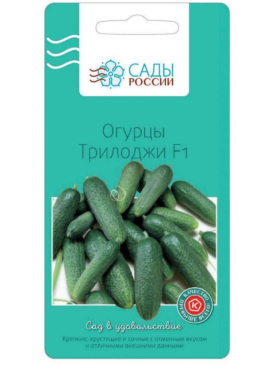 Огурец трилоджи f1