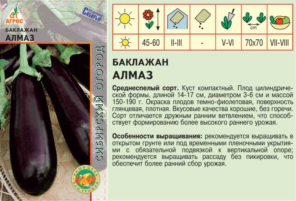 Баклажан алмаз: характеристика и описание сорта, выращивание и уход, отзывы с фото