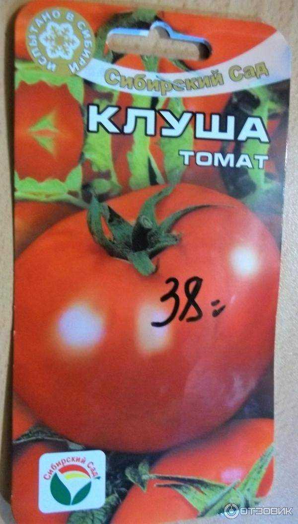 Описание сорта томат «клуша», отзывы с фото, урожайность. особенности выращивания