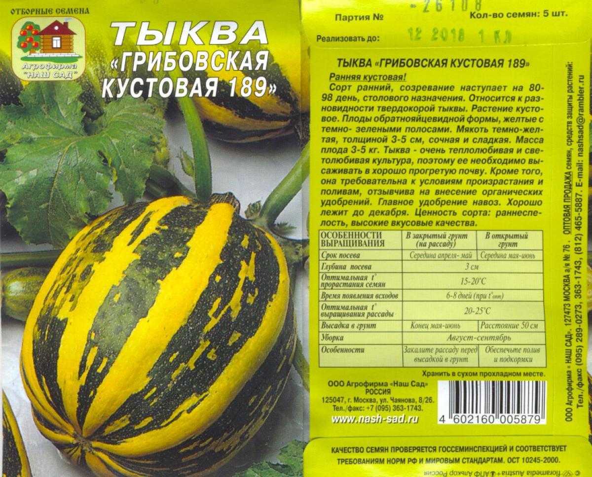 Выбираем сорта тыкв для посадки на дачу: мускатной, максима и обыкновенной