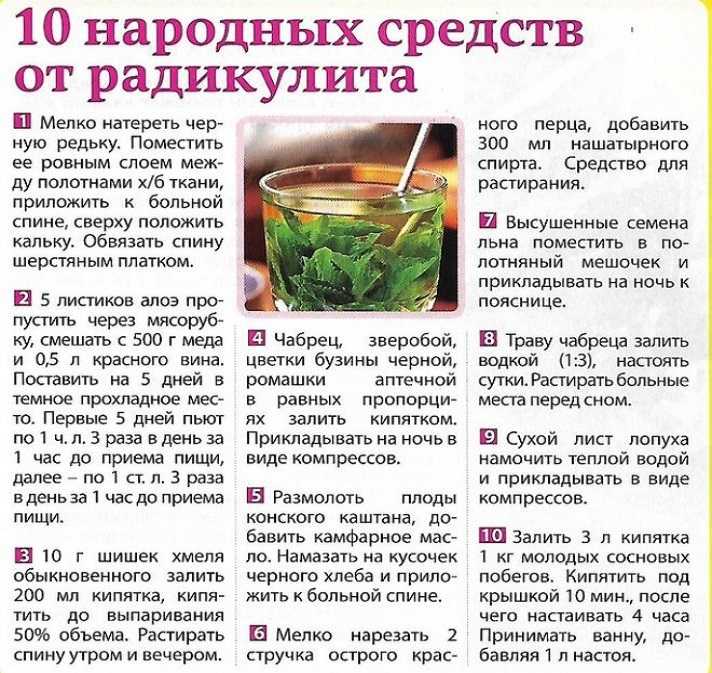 Настойка из одуванчиков на водке (спирте): приготовление своими руками и применение для здоровья