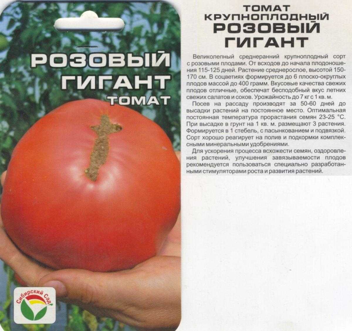 13 проверенных сортов томатов, которые я рекомендую посадить
