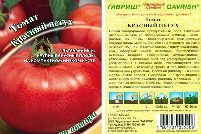 Томат Красный Петух – новый ультраранний детерминантный крупноплодный сорт от фирмы Гавриш для всех регионов: описание, фото, видео, отзывы Выращивание из рассады и посевом в грунт, особенности ухода