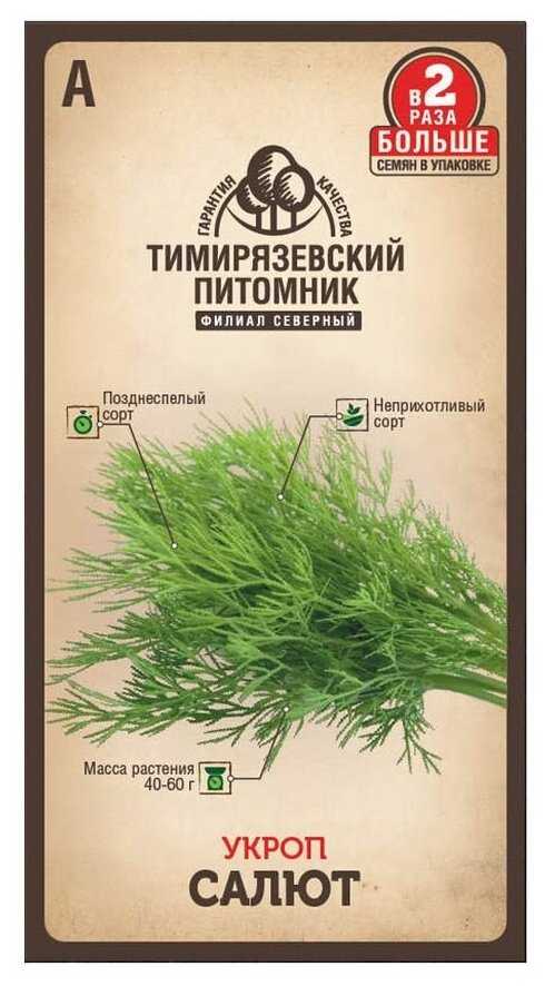 Популярные сорта укропа: описание и выращивание