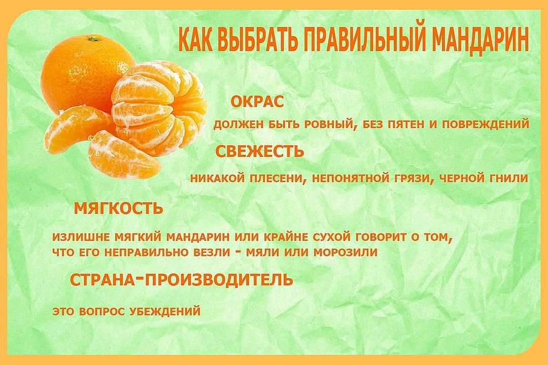 Сезон мандаринов в марокко - с огорода