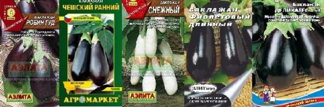 Лучшие сорта баклажанов: самые урожайные и вкусные по отзывам садоводов, их описания и фото