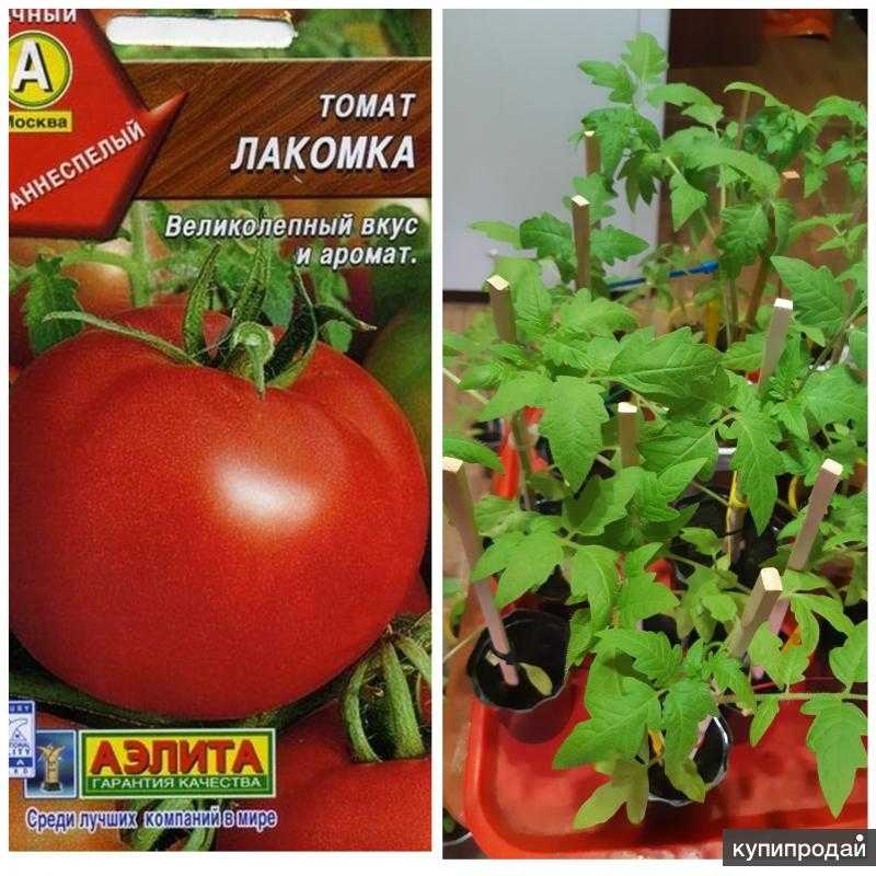 Подведём итоги в конце дороги: томат 'черная лакомка' f1