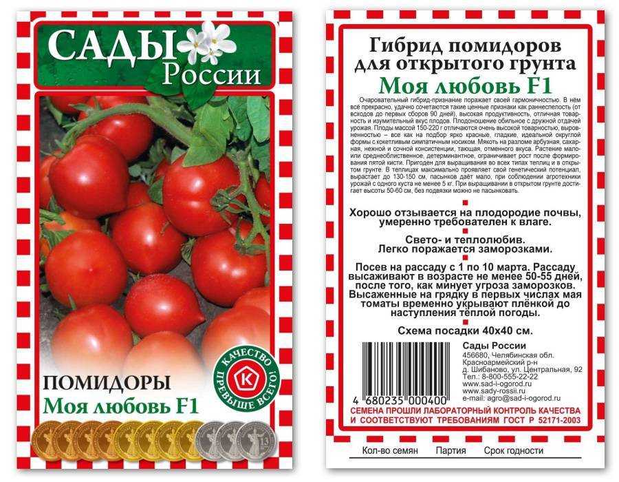Томат денежный мешок: характеристика и описание сорта, урожайность, отзывы - все о помидорках