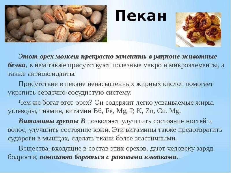 Жмых грецкого ореха: полезные свойства и вред, химический состав, применение в кулинарных, косметических целях и иных, а также в чем польза для спортсменов?