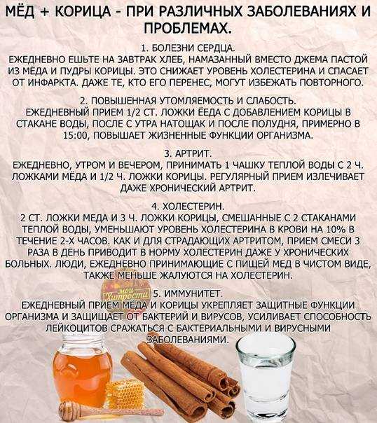 Что лечит сок черной редьки?