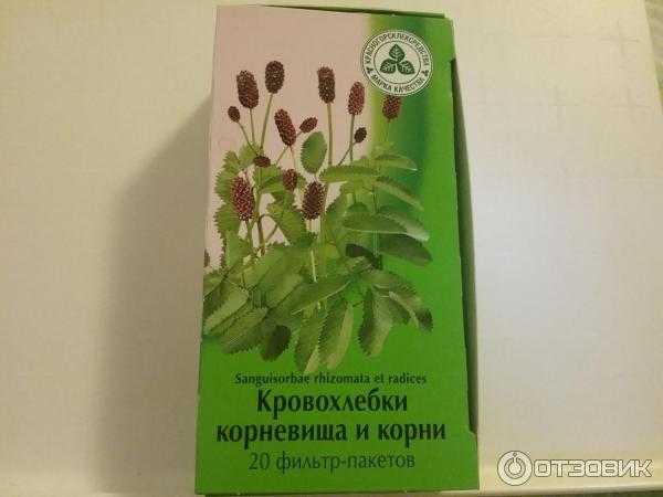 Кровохлебка лекарственная — лечебные свойства и противопоказания травы