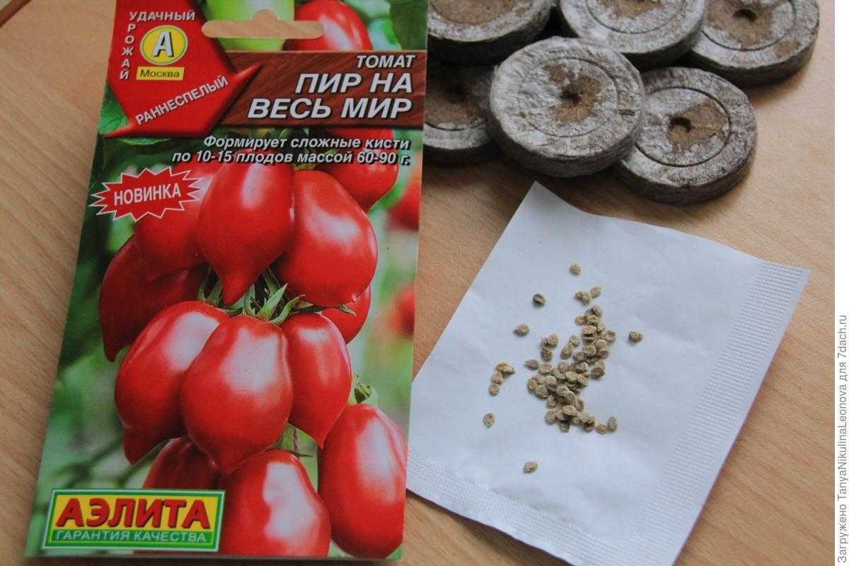 Томат вечный зов