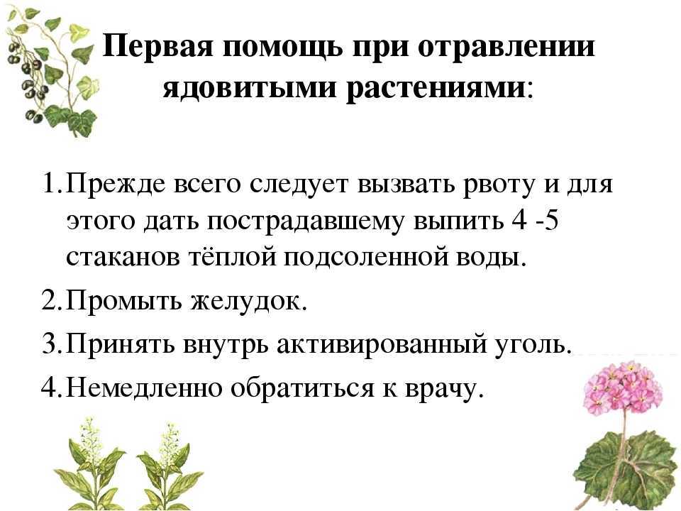 Пищевое отравление: как оказать себе первую помощь