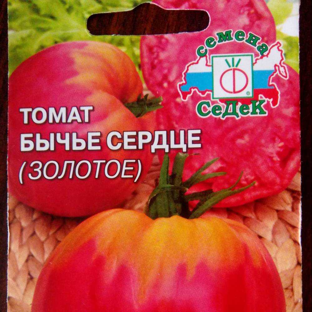 Томат бычье сердце: фото, отзывы, характеристика и описание сорта, выращивание, видео