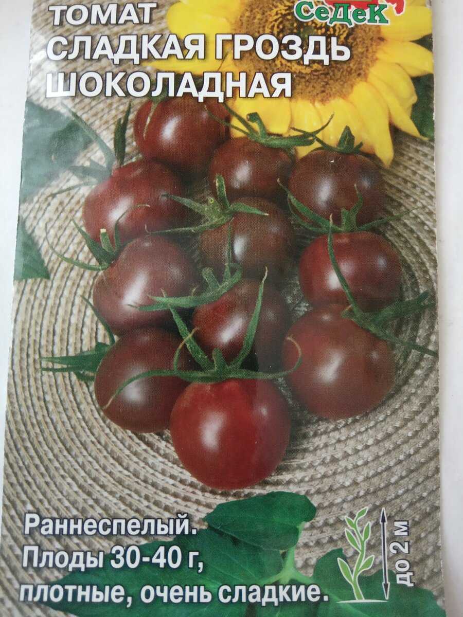 Томат чёрный шоколад: описание сорта, характеристика, отзывы об урожайности, фото