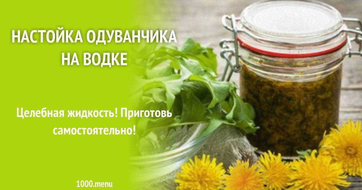 Настойка одуванчика на спирту ее применение и рецепт приготовления