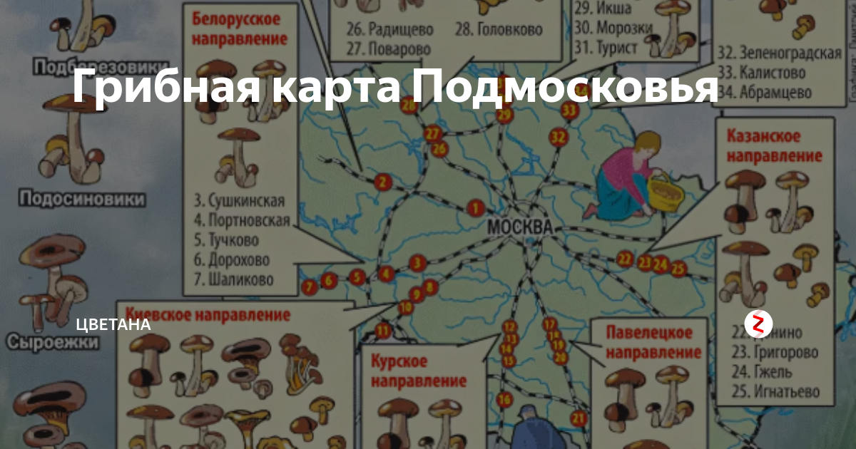 Где собирать грибы в подмосковье: карта грибных мест московской области