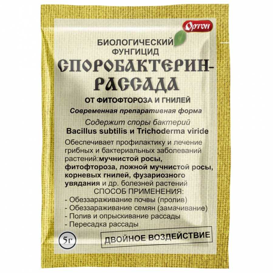 Биопрепараты для рассады – профилактика болезней. биофунгицид споробактерин для растений: инструкция по применению