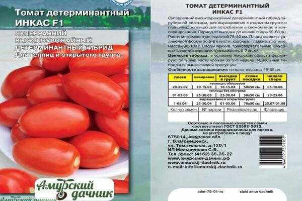 Томат Инкас: основные характеристики гибрида, подробное описание кустов и помидоров Достоинства и недостатки, правила выращивания рассады, особенности дальнейшего ухода