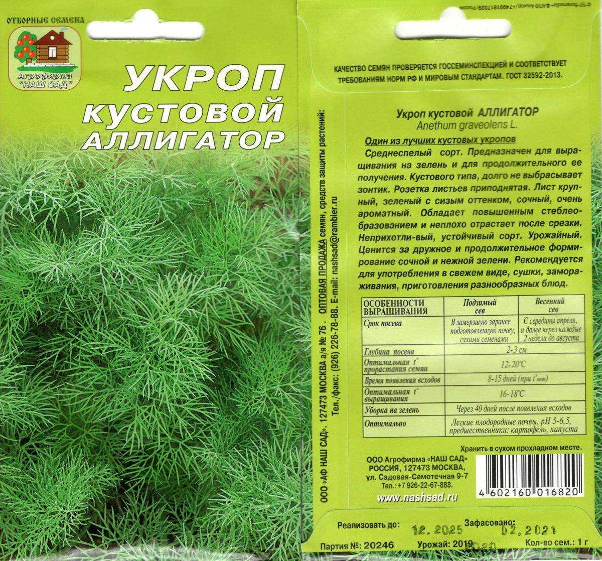Укроп кустовой: сорта для зелени (русский размер, супердукат и т.д.), декоративный кустистый укроп, фото и отзывы