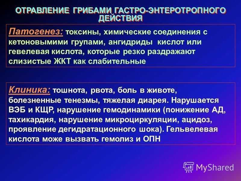 Ложные опята: описание и характеристика распространенных видов, признаки, отличающие их от съедобных грибов, симптомы отравления и оказание первой помощи