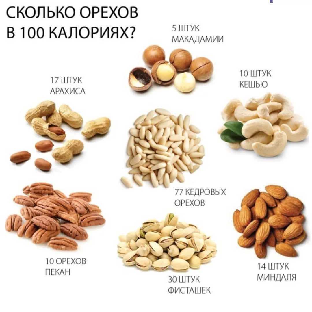 Как хранить орехи: какой срок хранения плодов ореха в домашних условиях
