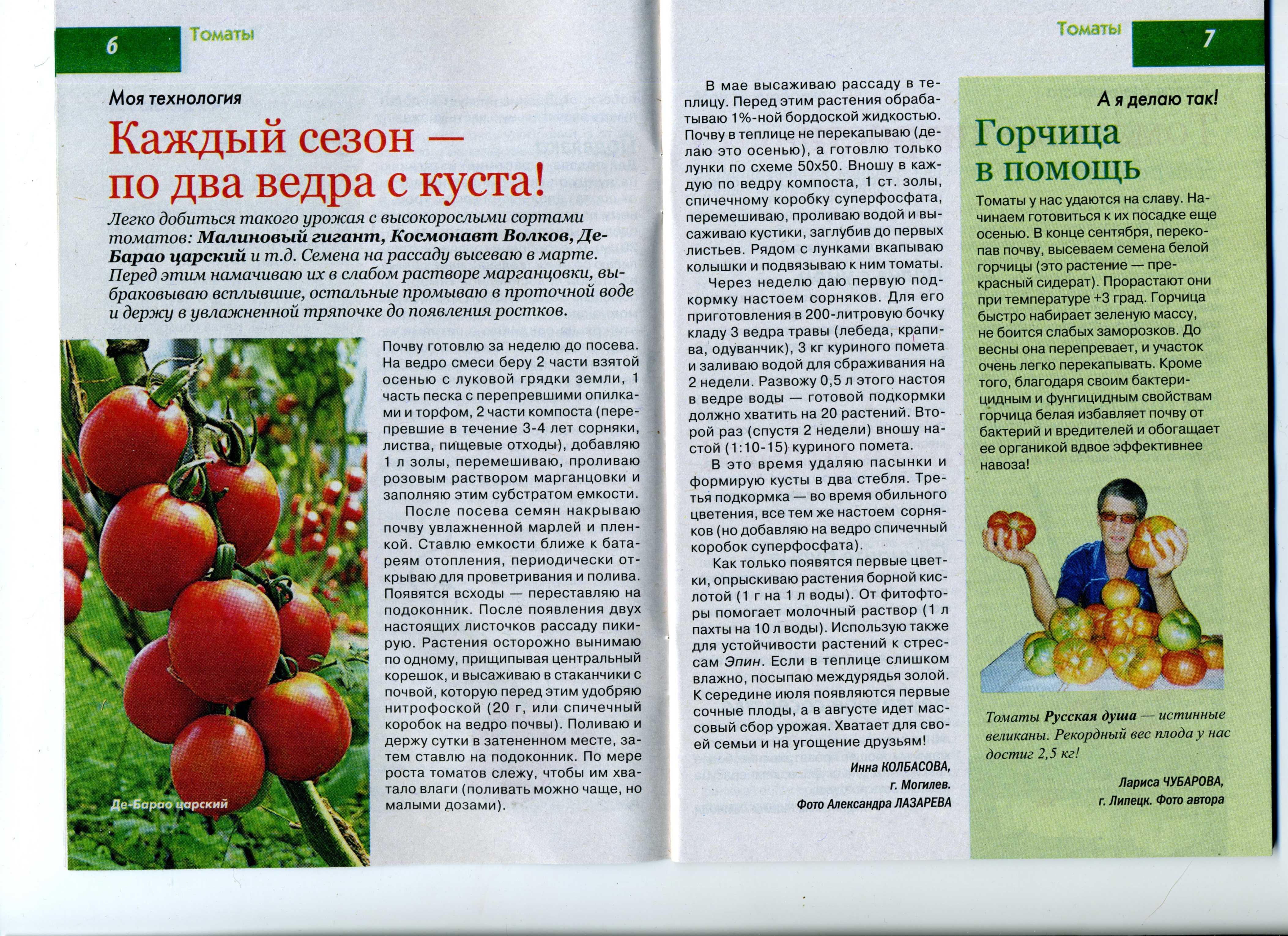 Томат дикая роза: характеристика и описание сорта, уход и выращивание