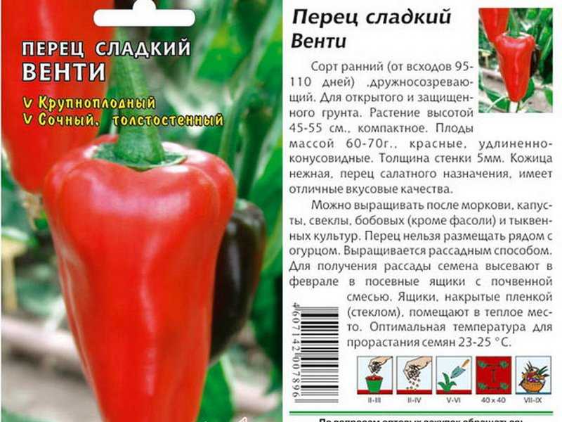 Перец подарок молдовы - характеристика и описание сорта, фото, урожайность, отзывы тех, кто сажал