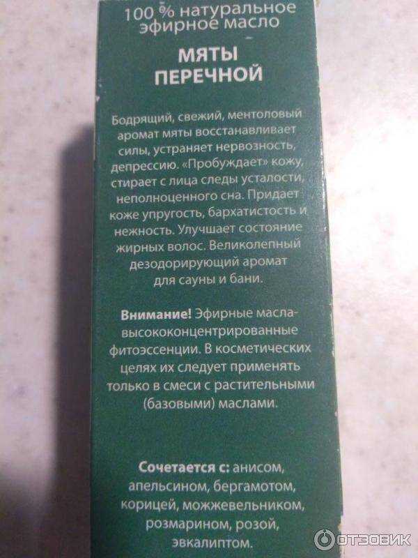 Мята – лечебные свойства, применение, противопоказания и рецепты из мяты перечной