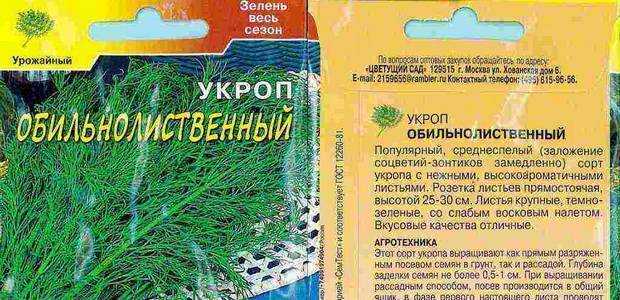 Эустома – выращивание и уход