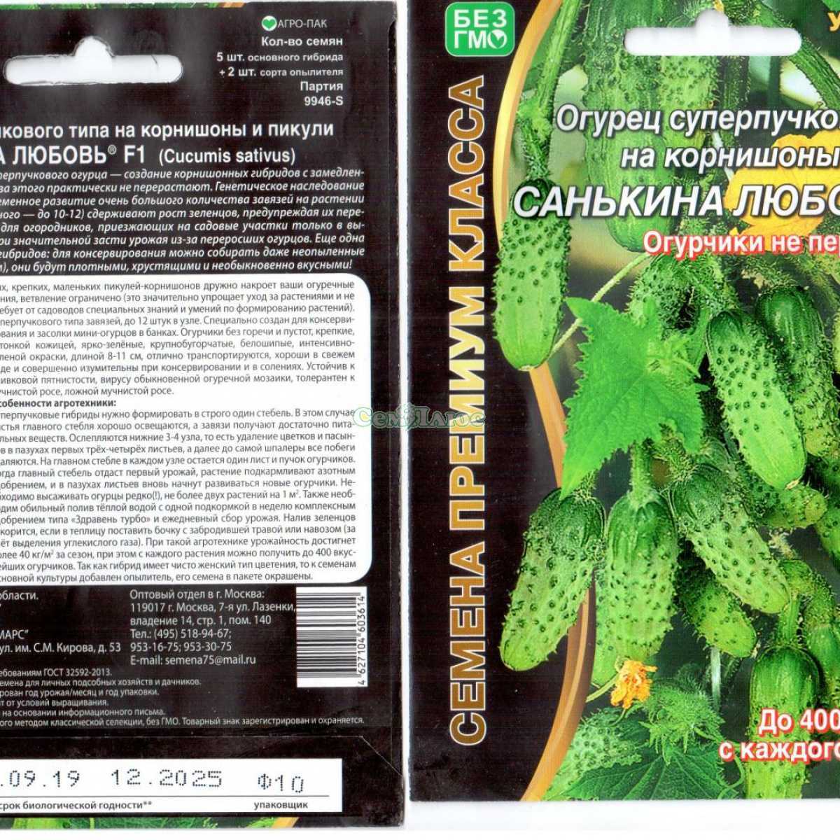 Самые сладкие сорта моркови для детского питания