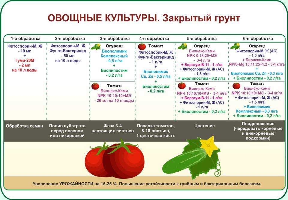 Хурма разноцветная описание и особенности
