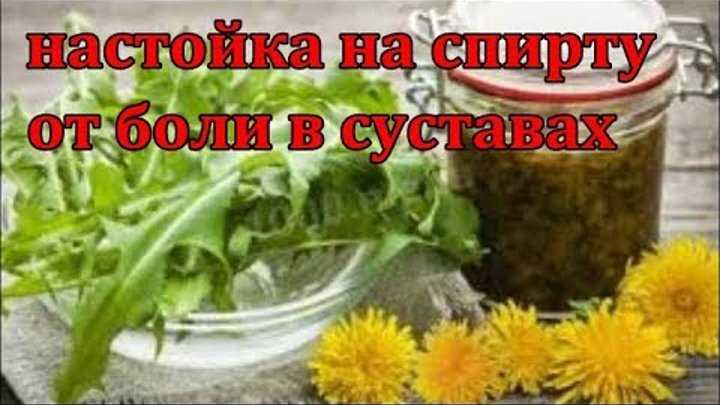 Настойка одуванчика на водке при боли в суставах - настоечки
