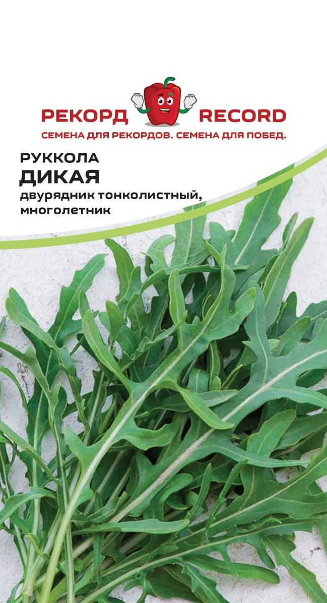 Как избавиться от горечи в рукколе. почему руккола горчит. что такое руккола и как ее едят, состав