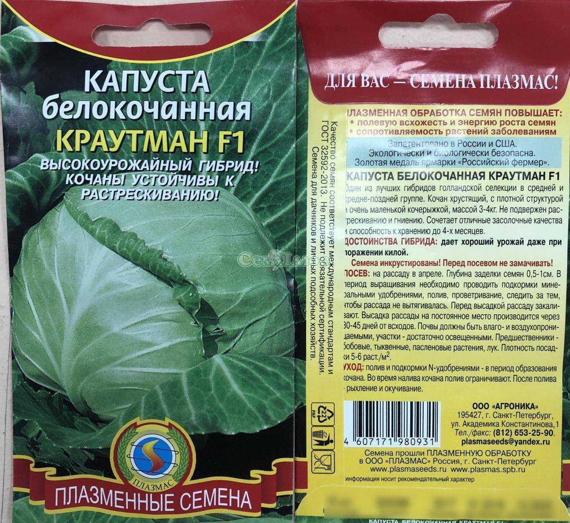 Капуста коля f1: характеристика гибрида, фото кочанов, описание урожайности сорта и отзывы о вкусовых качествах